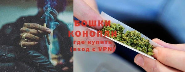 дурь Бронницы