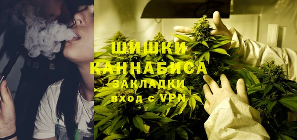 гидропоника Бородино