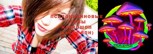 гидропоника Бородино