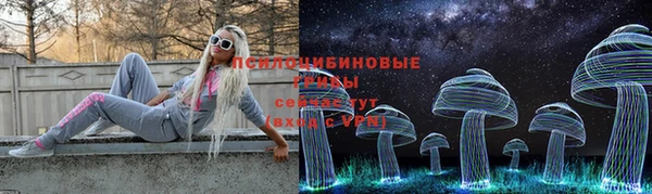 дурь Бронницы