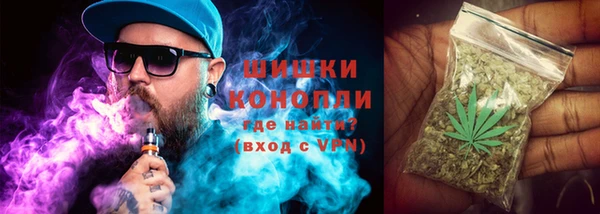 spice Бугульма