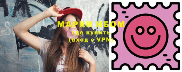 гидропоника Бородино