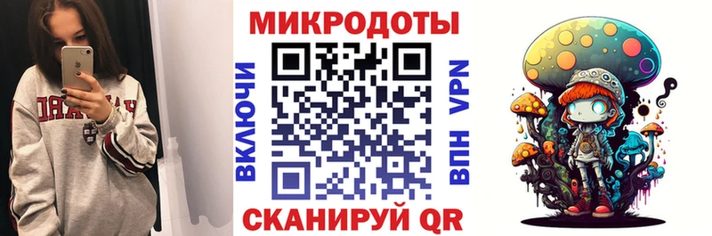 Псилоцибиновые грибы Psilocybe  Мурманск 