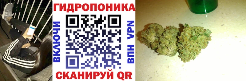 Марихуана индика Мурманск